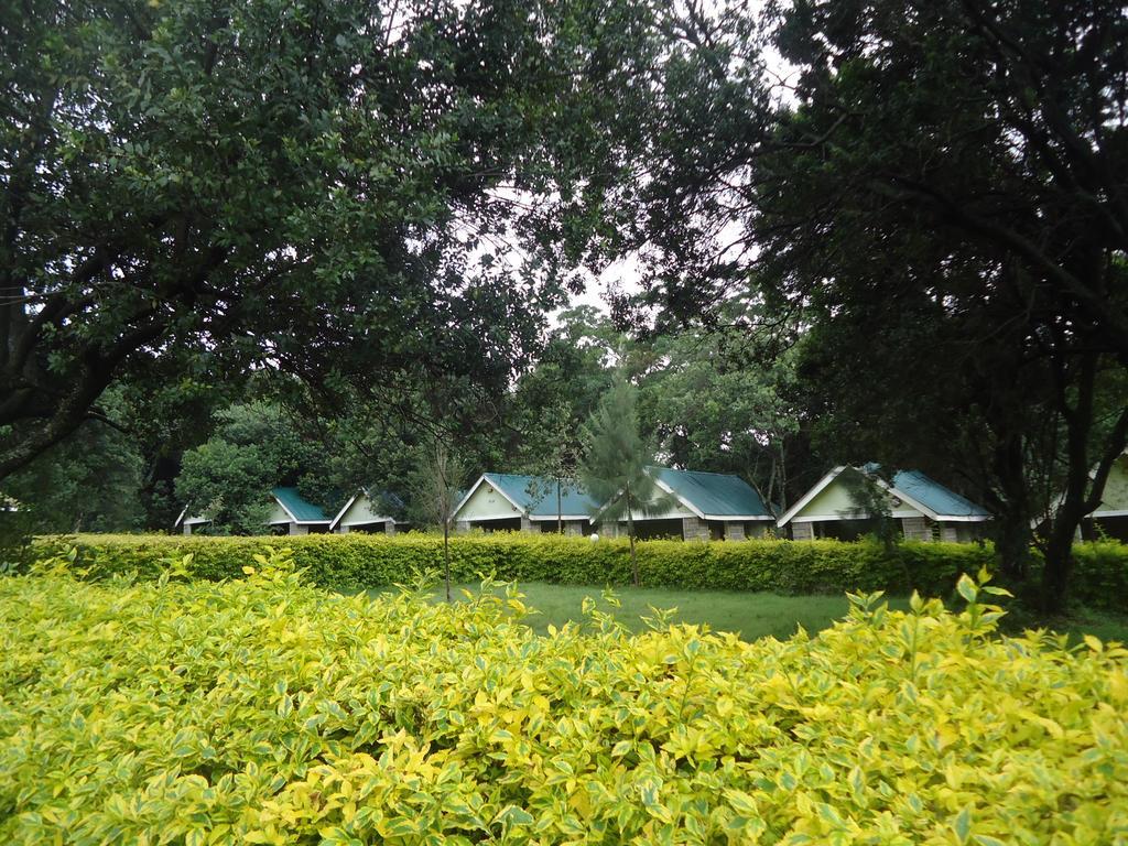 Rhino Tourist Camp Otel Ololaimutiek Dış mekan fotoğraf
